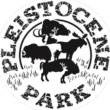 Pleistocene & Permafrost Stiftung gUG Jobs