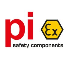 pi safety components GmbH & Co. KG Jobs