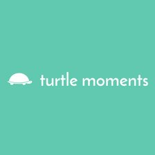 turtle moments Jobs