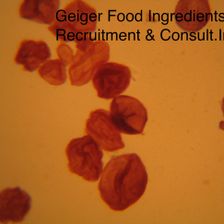 Geiger Food Ingredients Recruitment & Consult.Ing Jobs