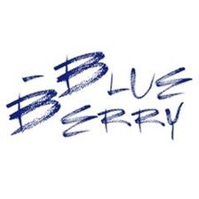 Blue-Berry GmbH Jobs