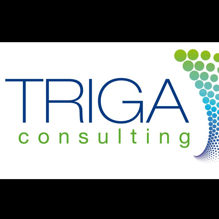 Triga Consulting GmbH & Co KG Jobs