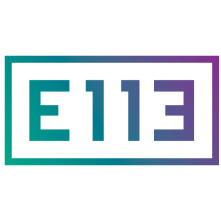 E113 Jobs