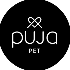 PUJA GmbH Jobs